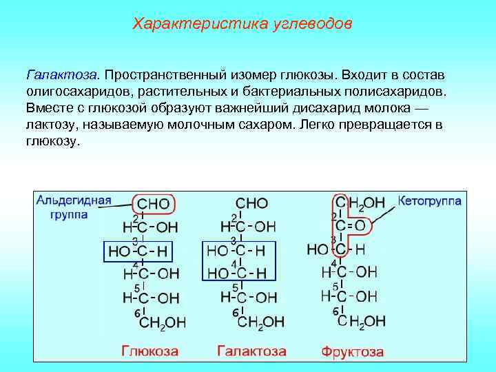Характеристика углеводов Галактоза. Пространственный изомер глюкозы. Входит в состав олигосахаридов, растительных и бактериальных полисахаридов.