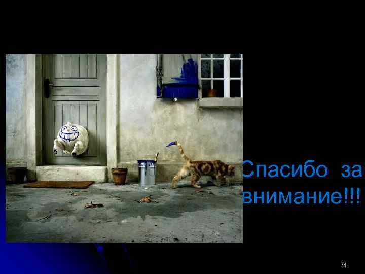 Спасибо за внимание!!! 34 