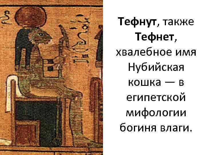 Тефнут, также Тефнет, хвалебное имя Нубийская кошка — в египетской мифологии богиня влаги. 