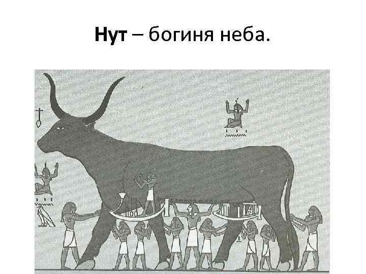 Нут – богиня неба. 