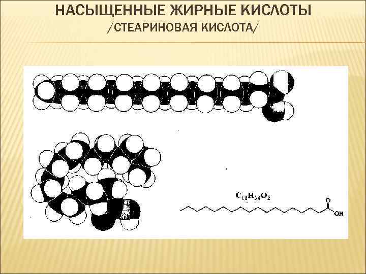НАСЫЩЕННЫЕ ЖИРНЫЕ КИСЛОТЫ /СТЕАРИНОВАЯ КИСЛОТА/ 
