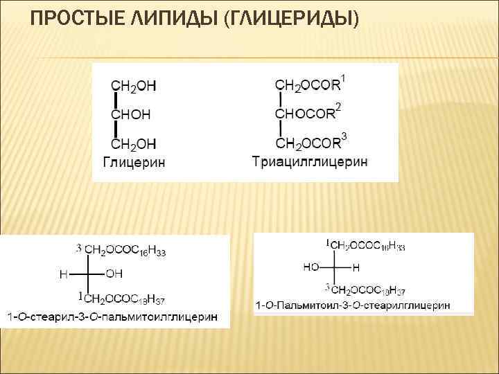 ПРОСТЫЕ ЛИПИДЫ (ГЛИЦЕРИДЫ) 