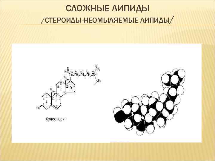 Липиды обязательны. Неомыляемые липиды стероиды. Неомыляемые липиды изопреноиды. Сложные липиды.