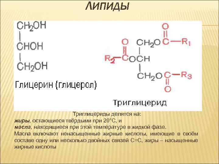 Что такое триглицериды