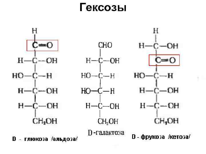 Гексозы 