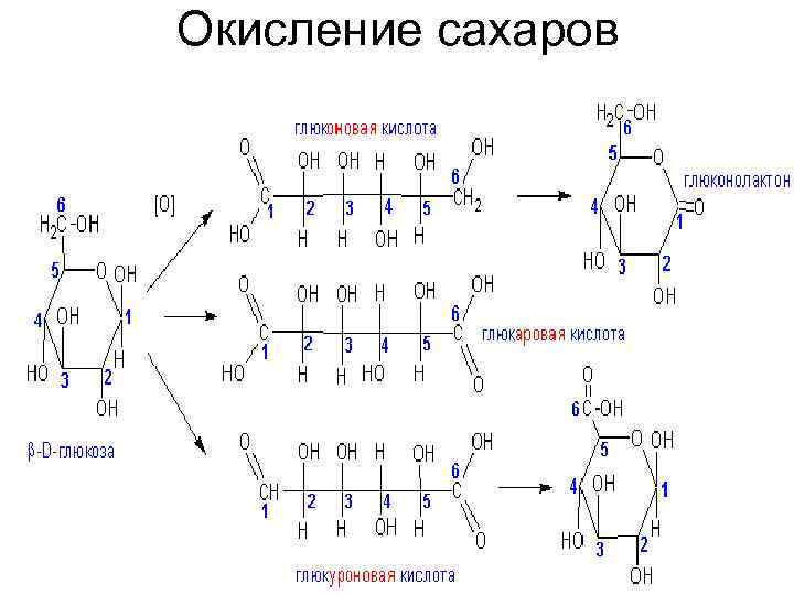 Окисление сахаров 