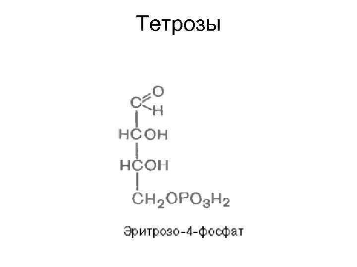 Тетрозы 