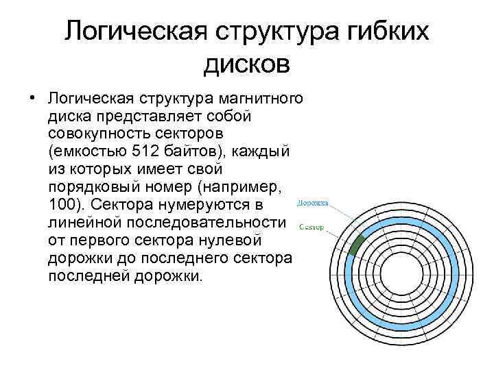 Логическая структура гибких дисков • Логическая структура магнитного диска представляет собой совокупность секторов (емкостью