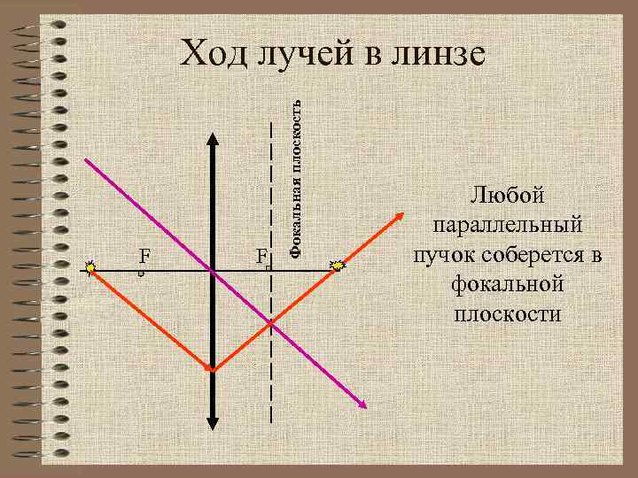 F F Фокальная плоскость Ход лучей в линзе Любой параллельный пучок соберется в фокальной