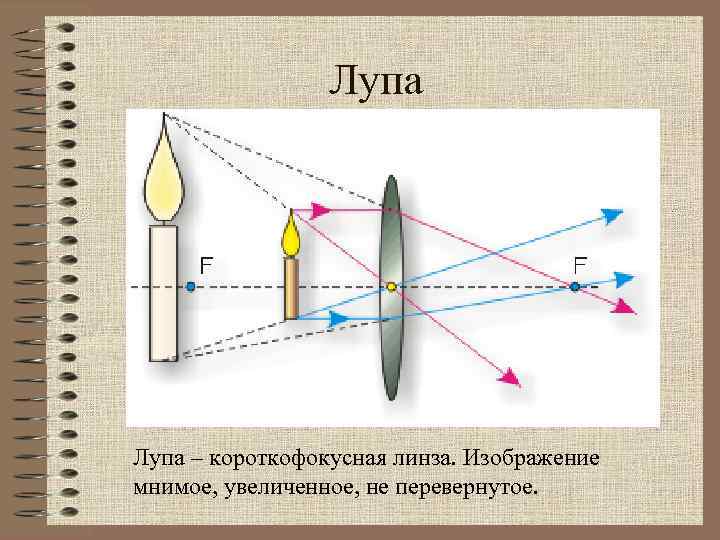 Лупа – короткофокусная линза. Изображение мнимое, увеличенное, не перевернутое. 