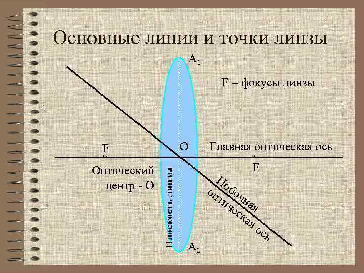 Основные линии и точки линзы А 1 F – фокусы линзы О Оптический центр