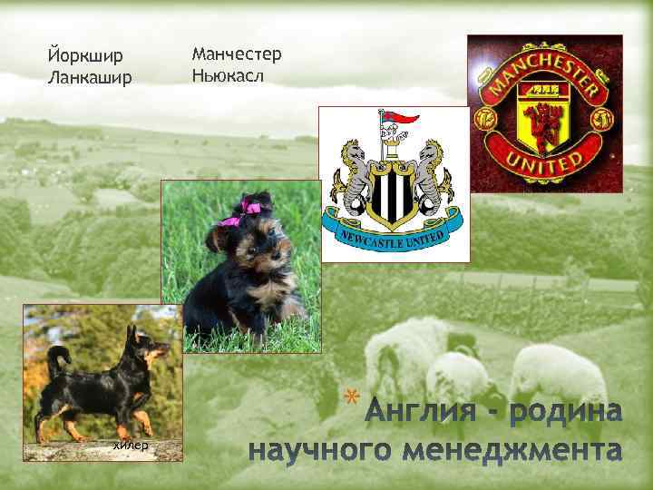 Йоркшир Ланкашир Манчестер Ньюкасл * хилер 