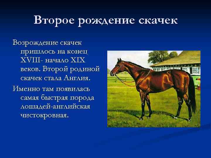 Второе рождение скачек Возрождение скачек пришлось на конец XVIII- начало XIX веков. Второй родиной