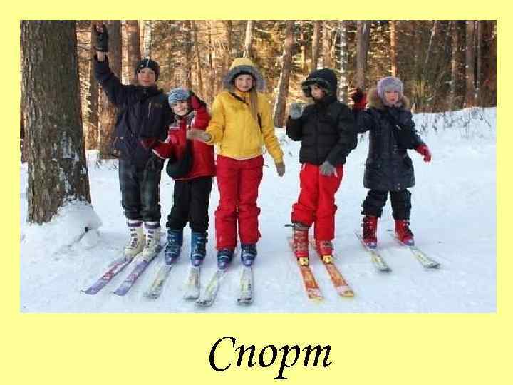 Спорт 
