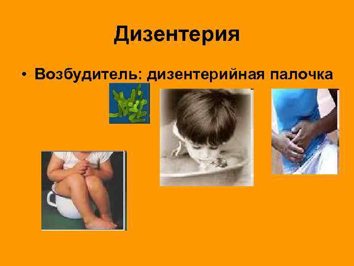 Дизентерия • Возбудитель: дизентерийная палочка 