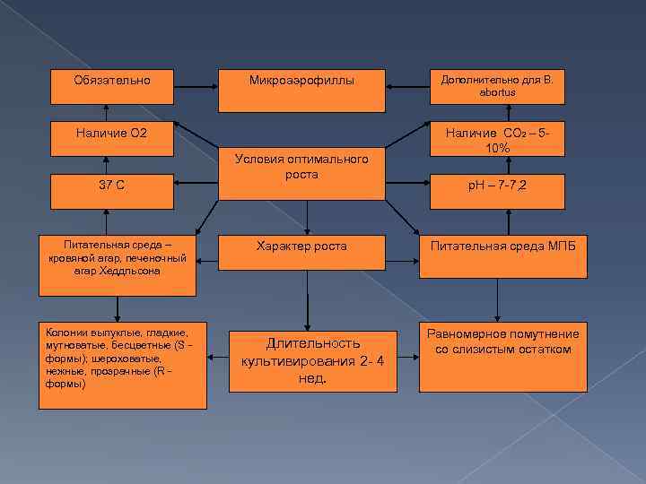 Обязательно Микроаэрофиллы Наличие О 2 37 С Питательная среда – кровяной агар, печеночный агар