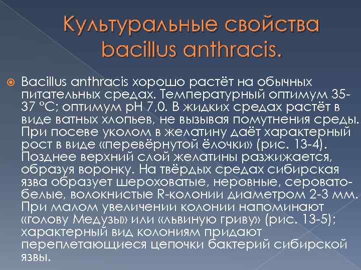 Культуральные свойства bacillus anthracis. Вacillus anthracis хорошо растёт на обычных питательных средах. Температурный оптимум