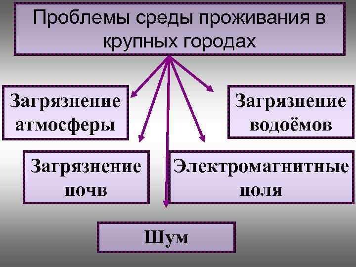 Проблемы среды проживания в крупных городах Загрязнение атмосферы Загрязнение почв Загрязнение водоёмов Электромагнитные поля