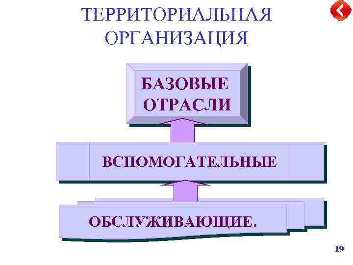 ТЕРРИТОРИАЛЬНАЯ ОРГАНИЗАЦИЯ БАЗОВЫЕ ОТРАСЛИ ВСПОМОГАТЕЛЬНЫЕ ОБСЛУЖИВАЮЩИЕ. 19 