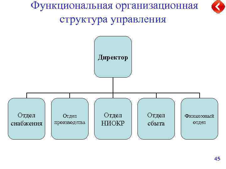  Функциональная организационная структура управления Директор Отдел снабжения Отдел производства Отдел НИОКР Отдел сбыта