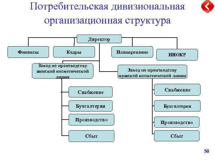 Потребительская дивизиональная организационная структура Директор Финансы Кадры Планирование Завод по производству женской косметической линии