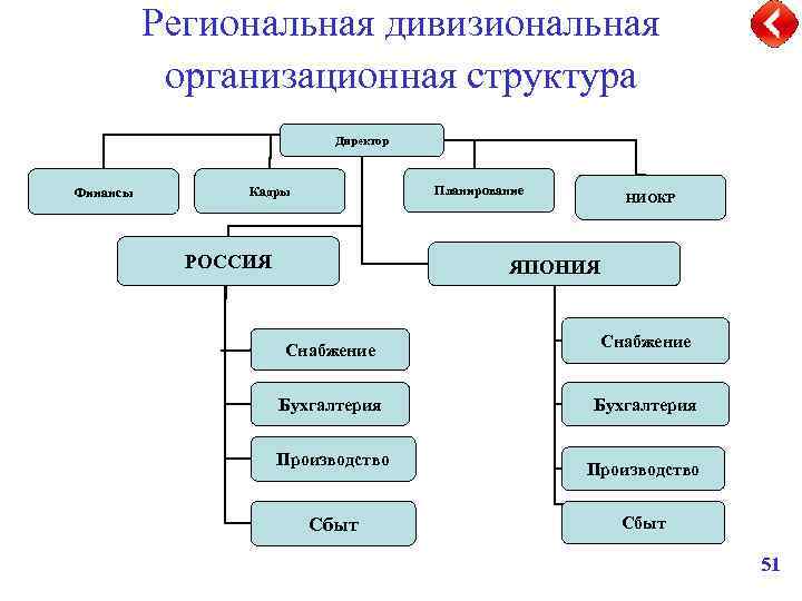 Дивизиональная структура схема