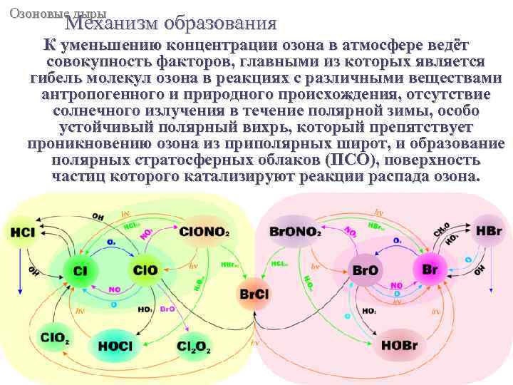 Озоновые дыры Механизм образования К уменьшению концентрации озона в атмосфере ведёт совокупность факторов, главными