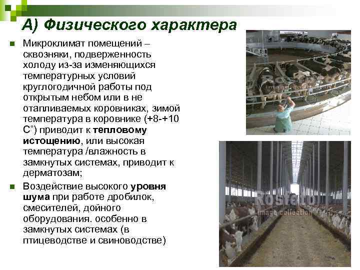 А) Физического характера n n Микроклимат помещений – сквозняки, подверженность холоду из-за изменяющихся температурных