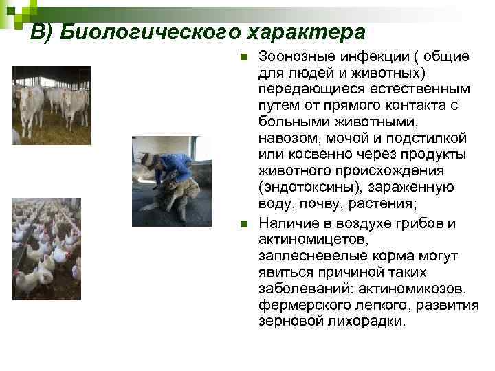 В) Биологического характера n n Зоонозные инфекции ( общие для людей и животных) передающиеся