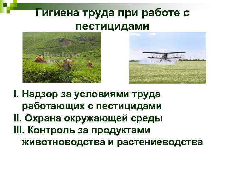 Гигиена труда при работе с пестицидами I. Надзор за условиями труда работающих с пестицидами