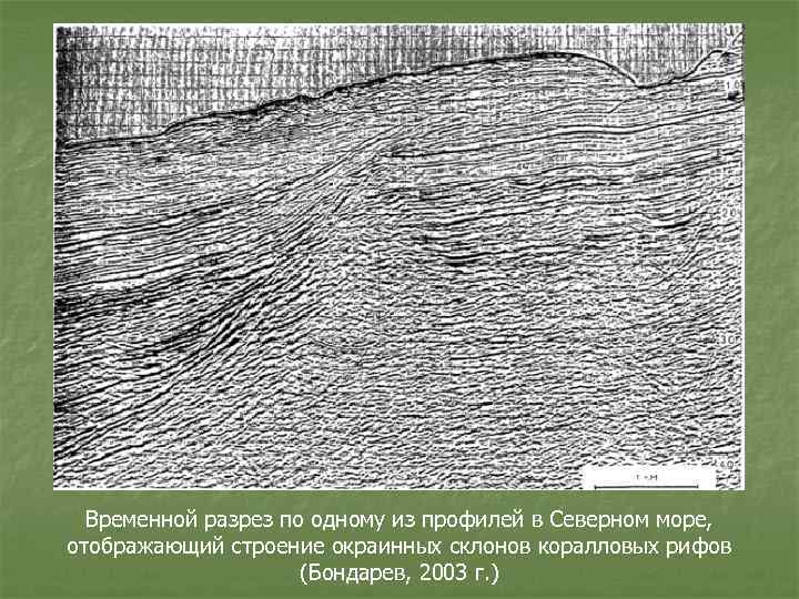 Временной разрез по одному из профилей в Северном море, отображающий строение окраинных склонов коралловых