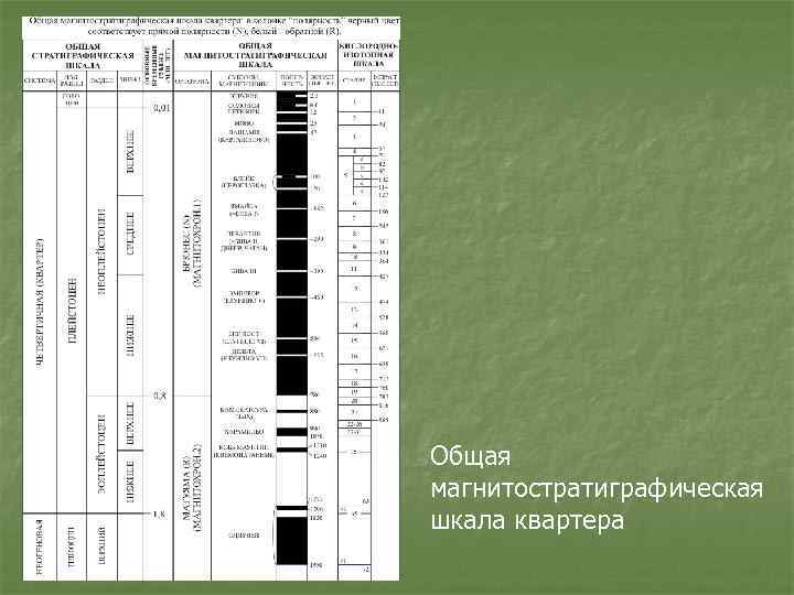 Общая магнитостратиграфическая шкала квартера 