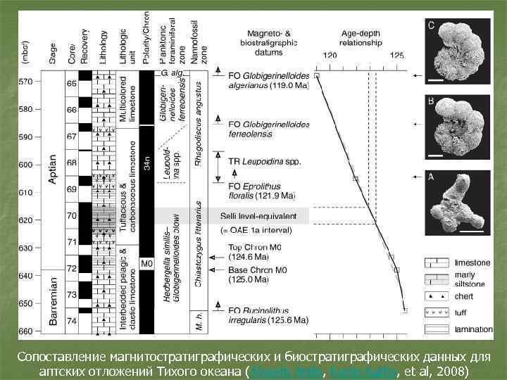 Сопоставление магнитостратиграфических и биостратиграфических данных для аптских отложений Тихого океана (Atsushi Ando, Kunio Kaiho,