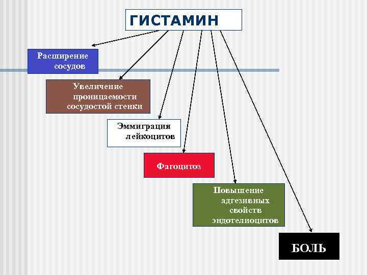 ГИСТАМИН Расширение сосудов Увеличение проницаемости сосудостой стенки Эммиграция лейкоцитов Фагоцитоз Повышение адгезивных свойств эндотелиоцитов