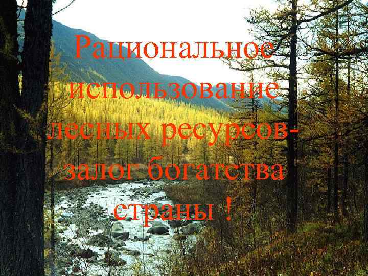 Рациональное использование лесных ресурсовзалог богатства страны ! 