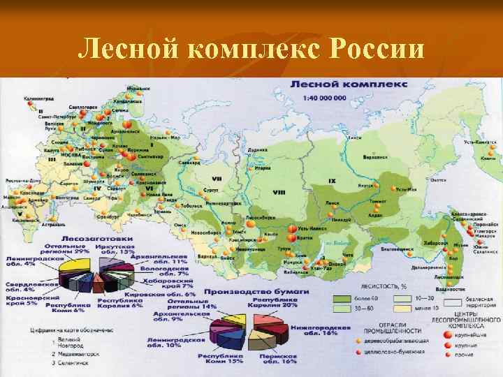 Лесной комплекс России 