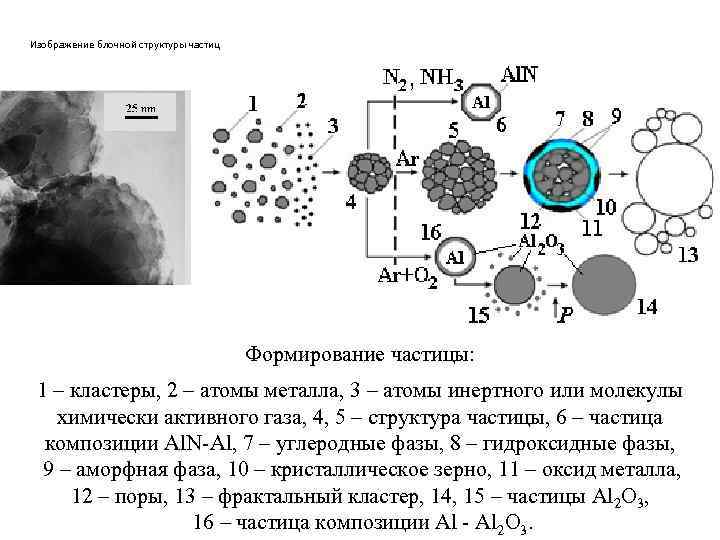 Изображение блочной структуры частиц Формирование частицы: 1 – кластеры, 2 – атомы металла, 3