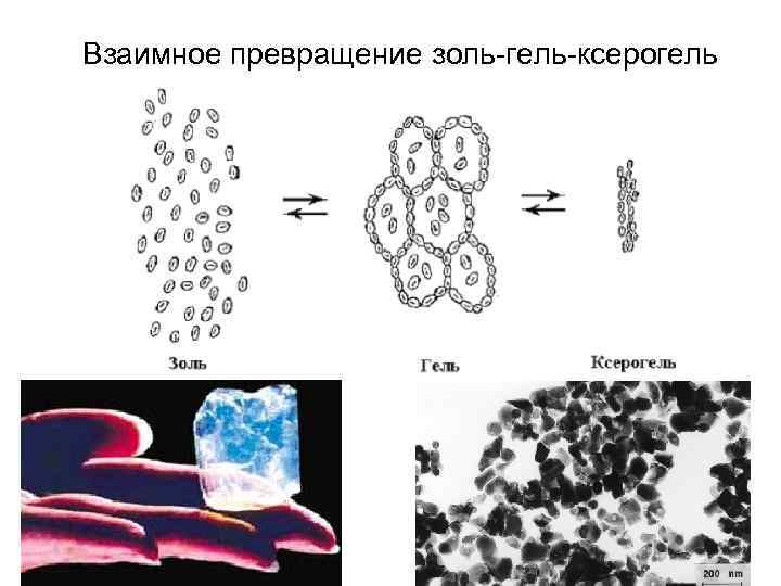 Взаимное превращение золь-гель-ксерогель 