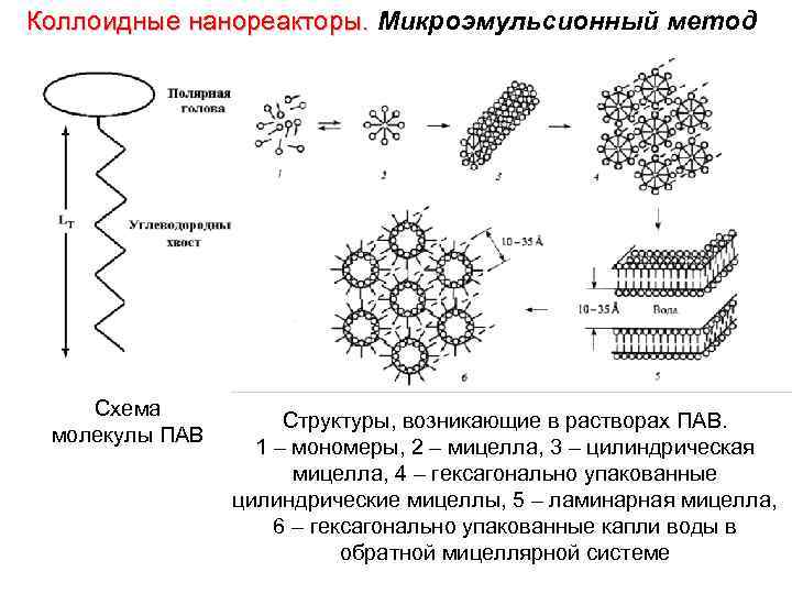 Коллоидные нанореакторы. Микроэмульсионный метод Схема молекулы ПАВ Структуры, возникающие в растворах ПАВ. 1 –