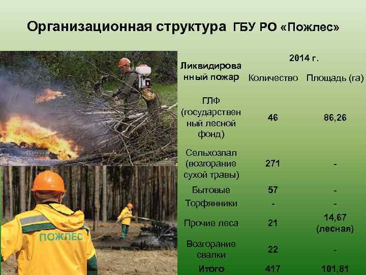 Организационная структура ГБУ РО «Пожлес» 2014 г. Ликвидирова нный пожар Количество Площадь (га) ГЛФ