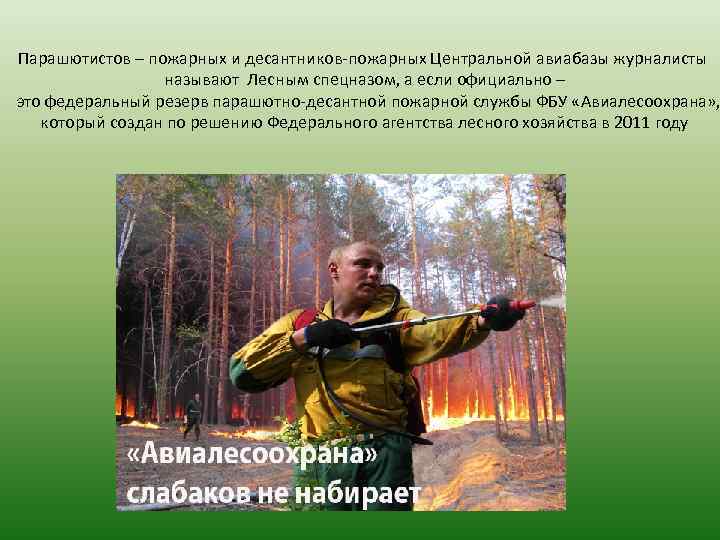 Парашютистов – пожарных и десантников-пожарных Центральной авиабазы журналисты называют Лесным спецназом, а если официально