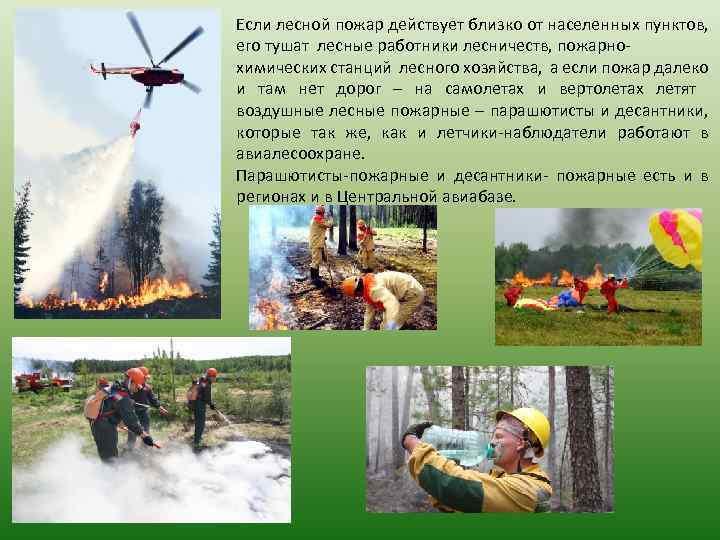 Если лесной пожар действует близко от населенных пунктов, его тушат лесные работники лесничеств, пожарнохимических