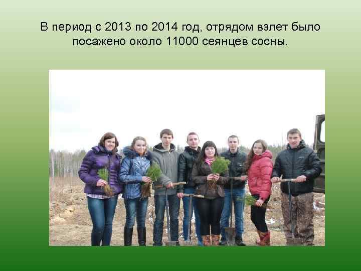 В период с 2013 по 2014 год, отрядом взлет было посажено около 11000 сеянцев
