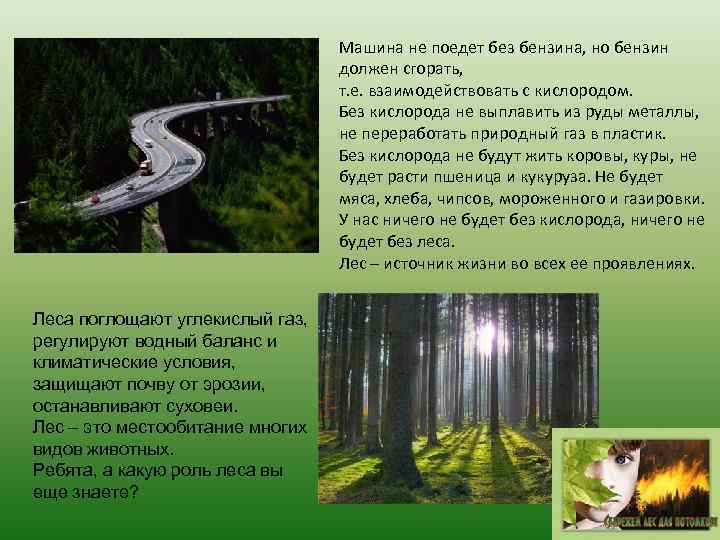 Машина не поедет без бензина, но бензин должен сгорать, т. е. взаимодействовать с кислородом.