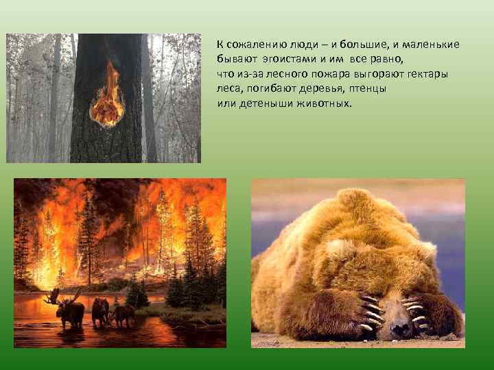 К сожалению люди – и большие, и маленькие бывают эгоистами и им все равно,