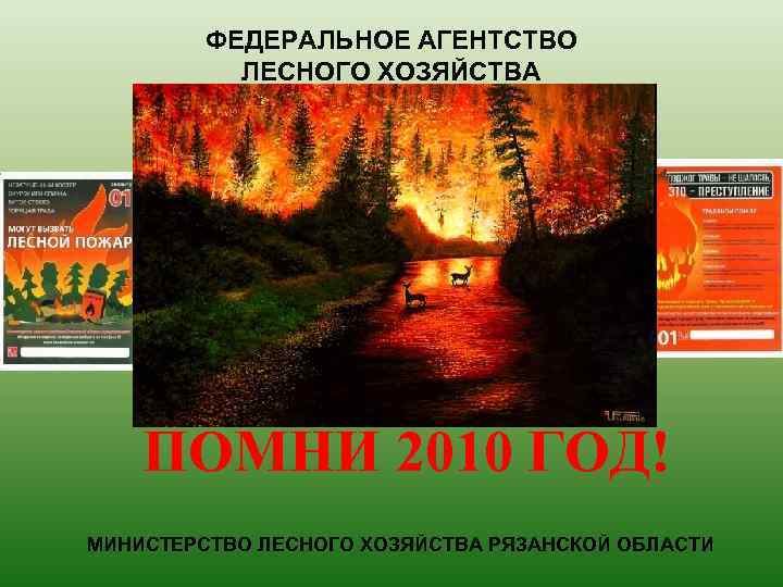 ФЕДЕРАЛЬНОЕ АГЕНТСТВО ЛЕСНОГО ХОЗЯЙСТВА ПОМНИ 2010 ГОД! МИНИСТЕРСТВО ЛЕСНОГО ХОЗЯЙСТВА РЯЗАНСКОЙ ОБЛАСТИ 