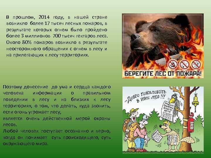 В прошлом, 2014 году, в нашей стране возникло более 17 тысяч лесных пожаров, в