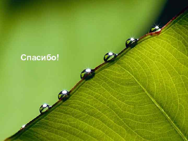 Спасибо! Инновации в арсенале финансового директора 2016 Стр. 