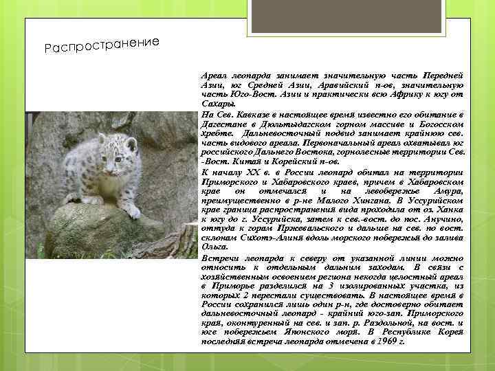ие н Распростране Ареал леопарда занимает значительную часть Передней Азии, юг Средней Азии, Аравийский