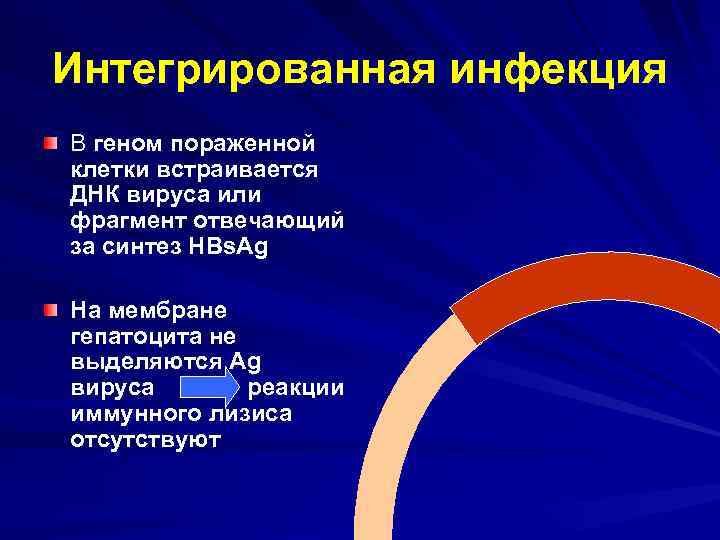 Интегрированная инфекция В геном пораженной клетки встраивается ДНК вируса или фрагмент отвечающий за синтез